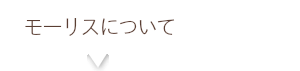 モーリスについて