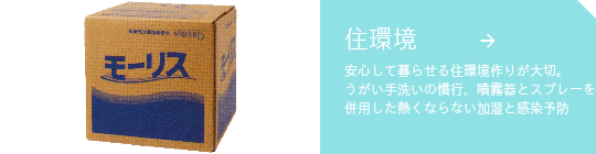 モーリス20L