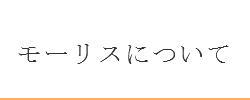 モーリスについて